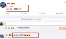 爆料鹿晗韩语视频播放网站,揭秘热门播放网站背后的故事